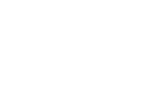Škoda Auto