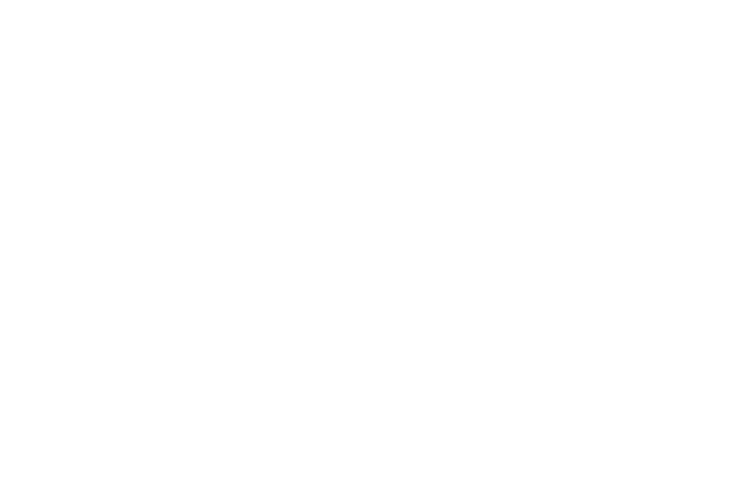 VŠE Praha